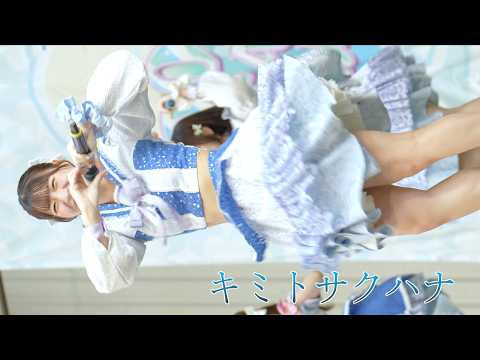 動画のタイトルなど