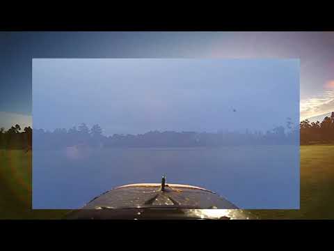 firefly-action-cam--zohd-dart--tree-hugger