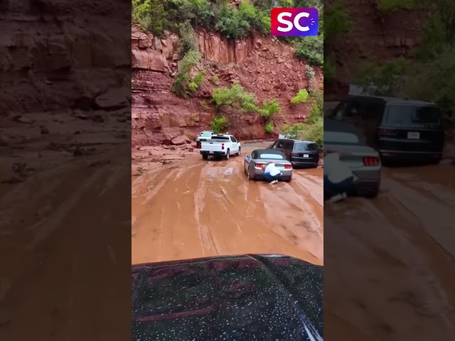 Vídeo relacionado con Tormenta en Summerville (Policías nº 2)