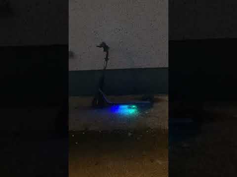 Segway Ninebot  C2 Pro B Kick Electric Scooter - Image 2