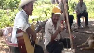 preview picture of video 'los torzones delas higueras agustin jaime'
