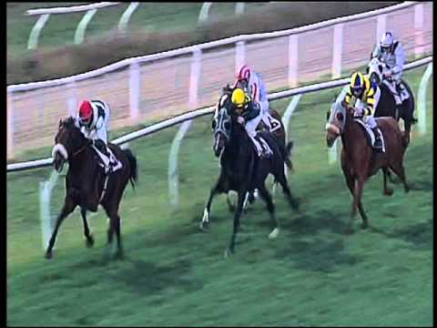 Galoppo 09/12/2015 - 5° corsa