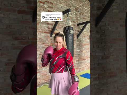 lo que traemos este año es hambre amigos 🐨❤️ @MasSKabeche  #summerkamp #koala #skabeche #kimrixs