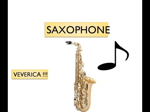 Veverica alt saksofon