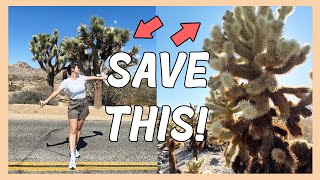 🔥 1-Day West Coast Road Trip: Joshua Tree, Palm Springs & Laguna Beach Adventure | Crystall Cho