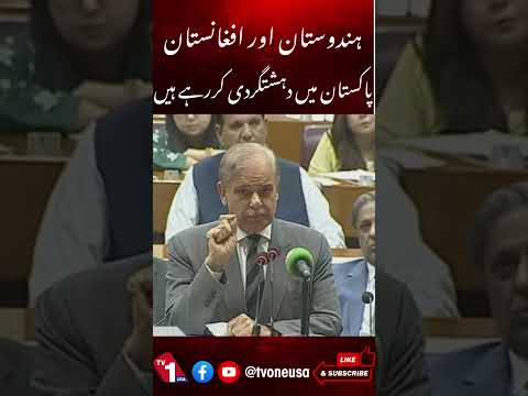 ہندوستان اور افغانستان ۔۔ پاکستان میں دہشتگردی کررہے ہیں