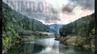 SARBA Nr.168 '' SARBA DE PE RAU ''