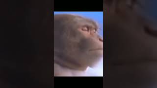 Download lagu Naif-Benci Untuk Mencinta#shorts mp3 Download lagu Naif-Benci Untuk Mencinta#shorts mp3