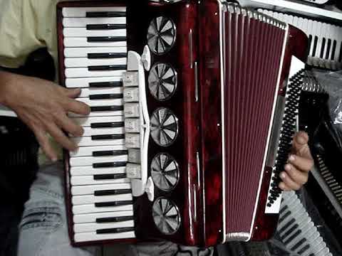 Acordeon universal 120 baixos