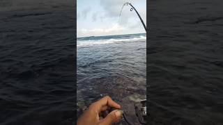 Download lagu waktu yang tepat untuk mancing ikan di saat air laut surut #fishing #mancing #mancingmania mp3
