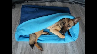 Kuschelsack Schlafsack für den Hund nähen DIY für Anfänger geeignet