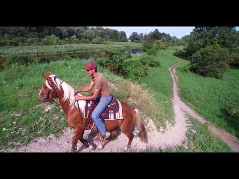 MUSTANG MAKEOVER 2018 Team Tom (TAG 3926) - Update 8