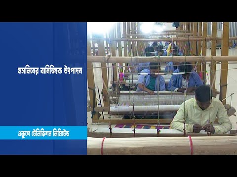 মসলিনের বানিজ্যিক উৎপাদন