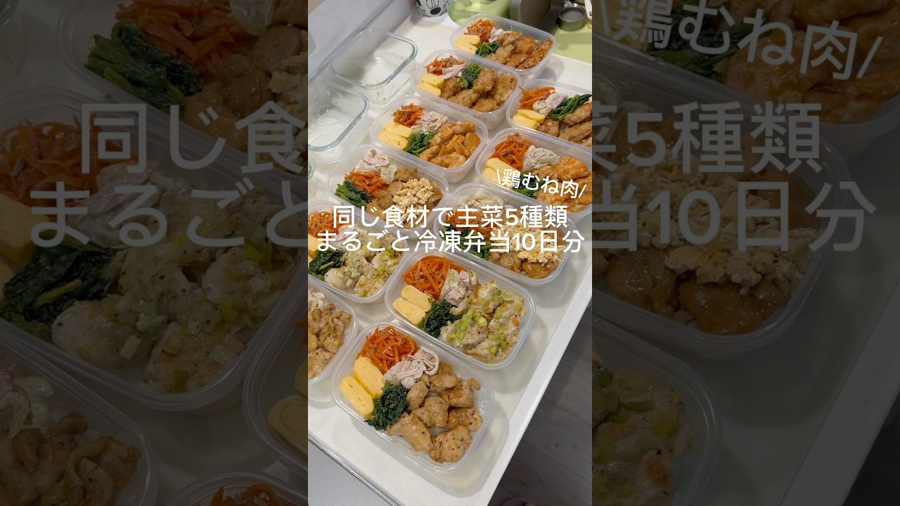 【まるごと冷凍弁当10日分作り置き】同じ食材で主菜5種類|鶏むね肉|高タンパク低脂質で栄養満点弁当|節約時短 #冷凍弁当 #まるごと冷凍弁当 #作り置き #料理 #弁当 #shorts