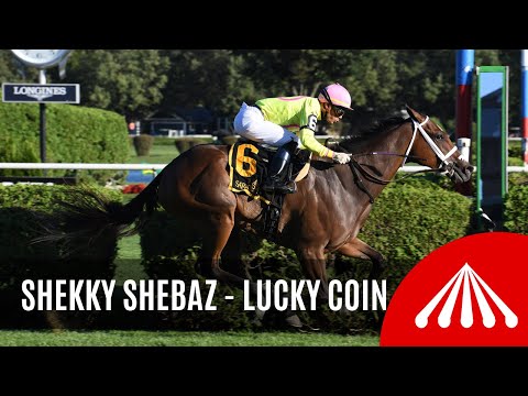 Shekky Shebaz - 2019 - The Lucky Coin Stakes