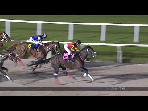 23/03/2018 – Hipodromo Maroñas – Carr 5 – BLADE PROSPECTOR