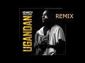 Nkwegomba Kenneth Mugabi Remix New Ugandan Music 2025