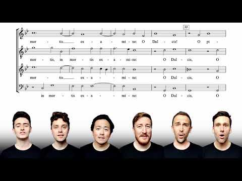 Sing along with The King's Singers: Ave Verum (William Byrd)