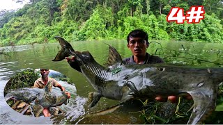 Download lagu Big Fish Hunting After a Heavy Rain in the Forest | 3 Days and Nights Sleeping in the Rainforest ... mp3 Download lagu Big Fish Hunting After a Heavy Rain in the Forest | 3 Days and Nights Sleeping in the Rainforest ... mp3