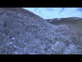 Enya - Lothlorien (Extended) 4K