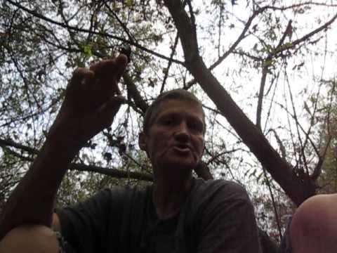 10/18/15 UPDATE GangStalking Leslie Williams Corrupt San Diego Public Defenders Office