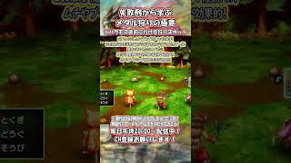 【DQ3 HD2D】失敗例から学ぶレベル上げ･メタル狩りの極意 ドラゴンクエスト3 そして伝説へ… ネタバレあり 経験値稼ぎ【リメイク】#dq3 #hd2d #ドラクエ