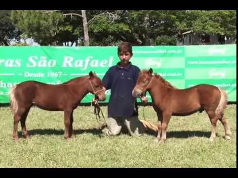 Lote 20 (Casal) - GARF Agata e GARF Alfajor