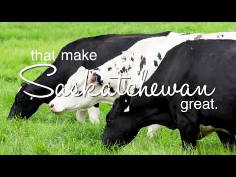 2020 National Holstein Convention //  Congrès national Holstein 2020