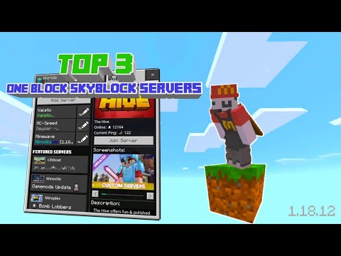ItzWaddle - Top 3 Minecraft Oneblock Servers for Java and Bedrock Edition 1.18