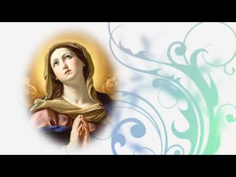 download lagu mp3 mp4 Oracion Anoche Tuve Un Sueño, download lagu Oracion Anoche Tuve Un Sueño gratis, unduh video klip Oracion Anoche Tuve Un Sueño