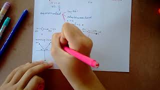 สภาพสมดุลและสภาพยืดหยุ่น ฟิสิกส์ ม.4 ep2