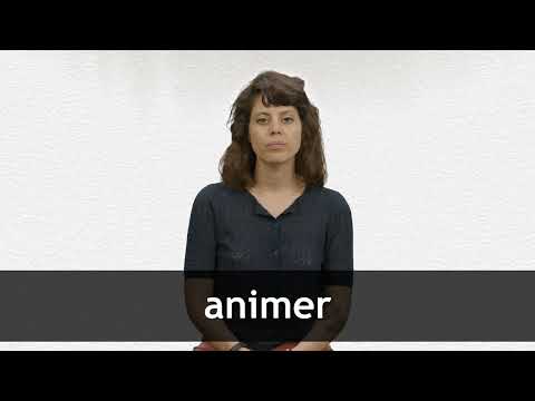 English Translation of “ANIMER” | Collins French-English Dictionary