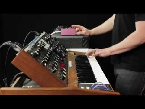 Strymon DIG - Dual Digital Delay Synth Demo with Peter Dyer