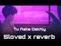 Tu Aaky Dekh le sloved x Reverb