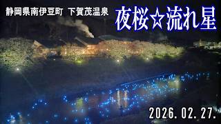 10年ぶりの開催！南伊豆町下賀茂温泉「夜桜☆流れ星」いのりの星 (※2026年2月27日撮影)