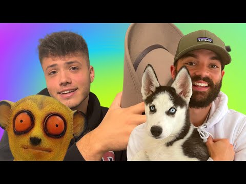 Richard says Hi | Making a New song with Dennis Gorcea! | an update on the puppies! *Vlog*