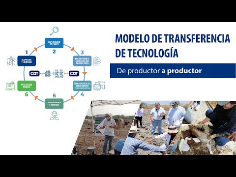 De Productor a Productor