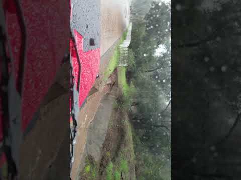 Fallbrook Rain