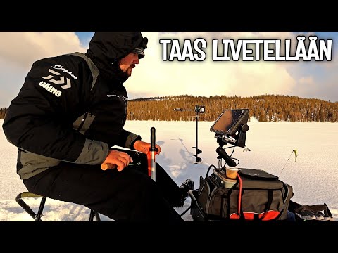 KALOJEN HAKU LIVELUOTAIMELLA SYVÄSTÄ VEDESTÄ - SIIKAPILKILLÄ LAPISSA
