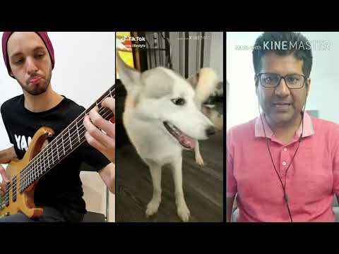 When Bass, a dog and Manjunath BC collide!