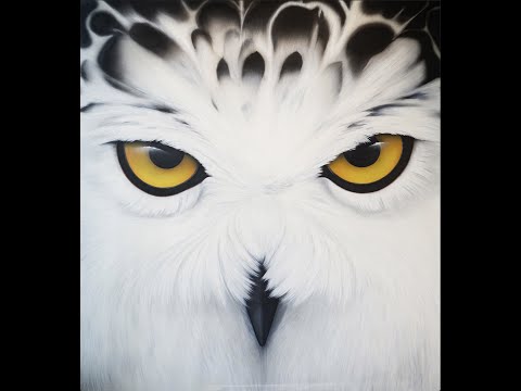 Acrylic art Snow owl