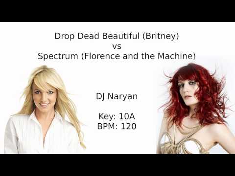 Drop Dead Spectrum (Britney vs. Florence and the Machine) - DJ Naryan Mash-up