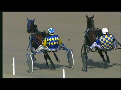 Napoli Trotto 18/11/2022 - 2ª corsa