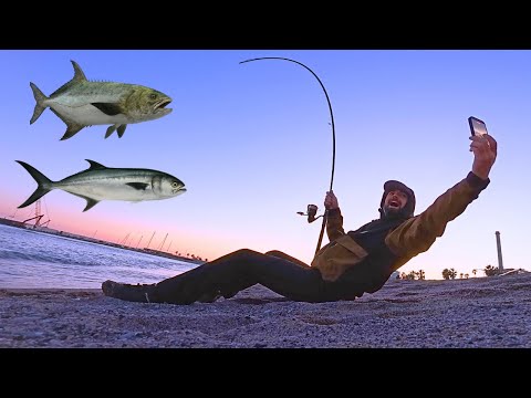 Spinning at the river mouth between dusk and dawn: fishing for large winter predators