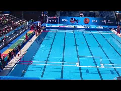 FINA 2017 Budapest – Nostalgia