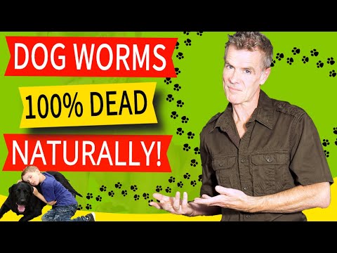 How to Naturally Treat a Dog With Worms (100% Effective Home Remedy!)