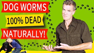 How to Naturally Treat a Dog With Worms (100% Effective Home Remedy!)