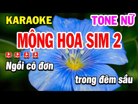 Karaoke Mộng Hoa Sim 2 ( Ngày Trùng Phùng ) Tone Nữ Nhạc Sống Beat Hay | Karaoke Phi Long