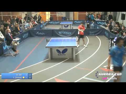 2014 Butterfly Aurora Cup - Open Singles Semi-Finals