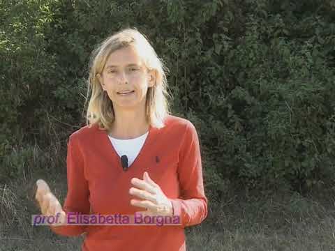 Il Friuli prima dei romani | Ricerche e scoperte nei luoghi della protostoria